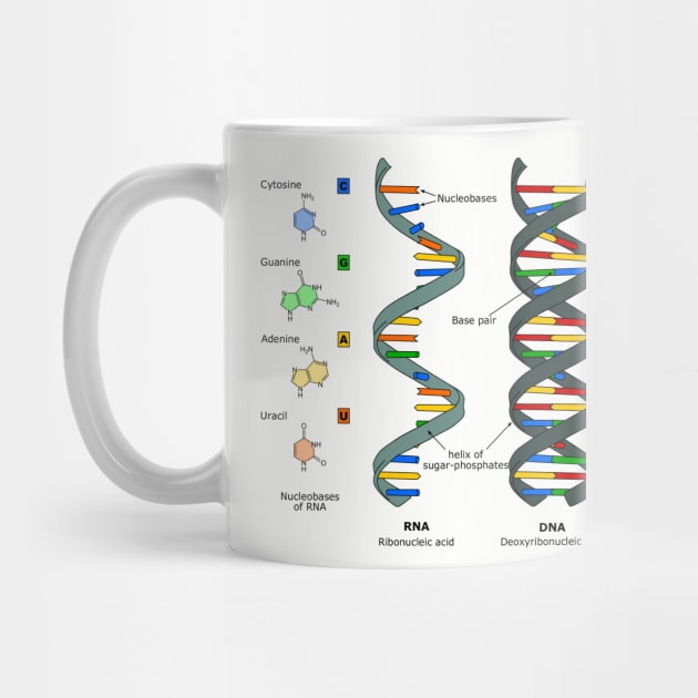 DNA Theory by MomoTEE